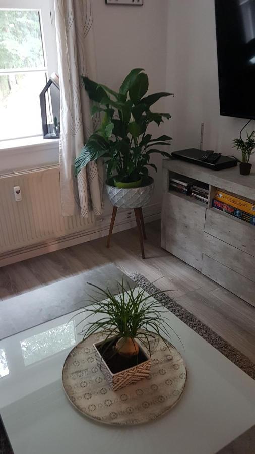 Appartement Stadtnah An Der Forde à Flensbourg Extérieur photo